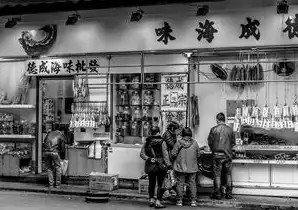 长春网站公司，数字时代城市新基建的赋能者与转型引擎，长春网站开发公司