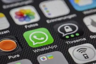 网站源码开发与商业应用全解析，从技术原理到实战案例，网站源码使用教程