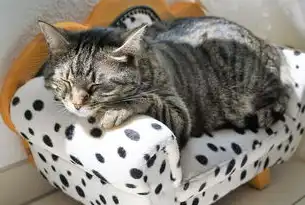 猫咖行业，城市疗愈经济的新风口—解码情感消费时代的产业升级密码，猫咖的行业分析