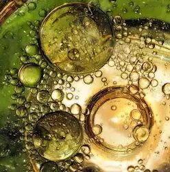 水体气泡现象的多维度解析，物理、化学与生态作用机制，水体有气泡冒出是什么原因导致的