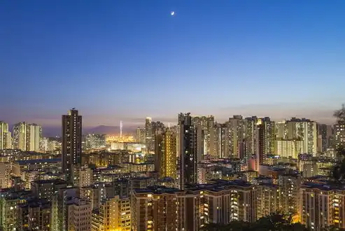 西口SEO与上海百首强强联合，解码长三角数字营销生态圈的双向赋能战略，西口文化发展(上海)股份有限公司