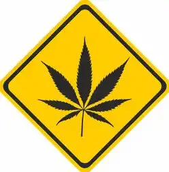 数据世界的医生，解码数据清洗如何重塑数字时代的价值链，数据清洗的作用和意义怎么写