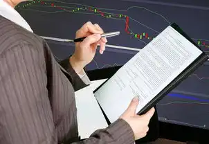 公安审计报告全流程查询实务指南，技术赋能与合规管理双轨并行，公安局审计报告查询平台