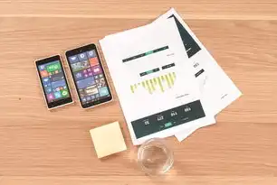网站模板与网站源码的终极对比，从技术架构到商业决策的深度解析，网站模板和网站源码区别是什么