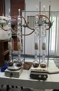数据库系统备份与恢复实验，技术原理与实践优化，数据库的备份与恢复实验