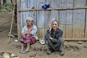 扎根乡土，农村社区工作者的多维角色与能力特质，农村社区工作者具有特征有哪些内容