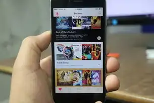 iOS设备解析Flash网站源码的进阶指南，技术突围与跨平台实践，iphone打开flash网页
