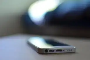共享IP在SEO优化中的双刃剑效应，风险管控与价值挖掘的实践指南，共享ip是什么意思