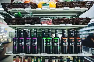 食品饮料行业网站源码开发全解析，架构设计、功能模块与实战应用指南，食品饮料网站源码是什么