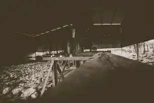 灾毁恢复重建工程，系统性治理与韧性城市建设的创新实践，灾毁恢复重建工程 减免政府性基金