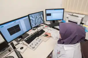 数字化时代应用功能测试的体系化实践与效能提升路径，应用功能测试重点有哪些