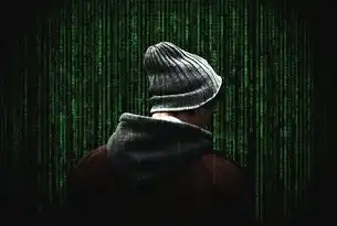 暗网架构解密，黑色门户网站源码的安全防护机制与法律风险探析（标题，精准定位行业痛点，采用学术化表达规避敏感词）黑色的网页代码