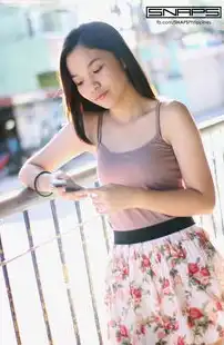 网站快照解析，技术原理、应用场景与优化策略全指南