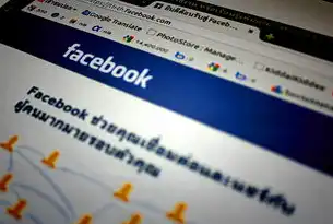 解码www网站，从技术架构到社会影响力的全景式解析，免费网站在线观看人数在哪破解版