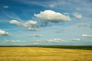 卡通网站源码全流程解析，技术架构与运营策略的深度整合，卡通网站源码下载