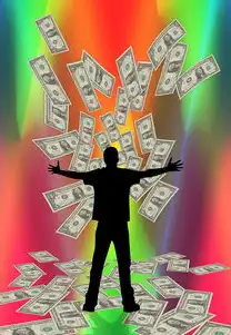 SEO效果可视化管理时代，效果付费模式如何重构数字营销价值评估体系，seo见效快吗