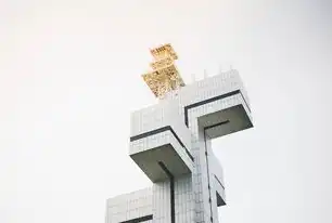 上海网站设计建设公司，数字生态构建者的三维价值体系与本土化实践路径，上海网站设计建设公司排名