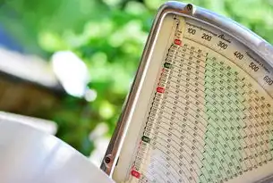 防火墙IPS吞吐量，定义、技术解析与应用实践指南，防火墙 吞吐量