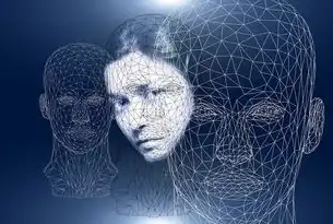数据价值化重构，数字化时代的精准决策方法论与实践范式，对数据进行量化分析是什么意思