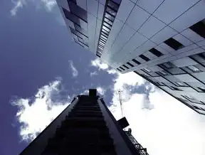 企业上云战略升级，数字化转型中的技术赋能与价值重构，企业上云项目申报