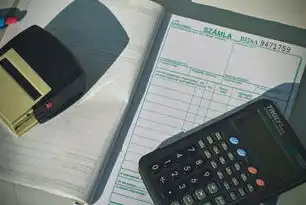 独立服务器，企业数字化转型的核心基础设施与高可用性解决方案，独立服务器做什么用的