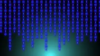 数字世界的无声掠夺者—计算机病毒如何摧毁数据资产及其现代防护体系，计算机病毒主要破坏数据的是