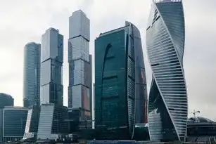 数字中国战略下的国家大数据工程中心创新实践与生态构建研究，国家大数据工程中心是干嘛的