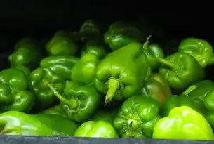 网站超市源码对比指南，如何选择最适合的建站方案