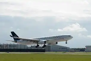 全球航空枢纽的巅峰之作，解码北京首都国际机场的吞吐量霸主之路，吞吐量排名第一的机场