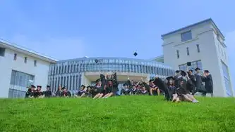 东北大学计算机视觉团队，技术深耕与跨界创新的学术标杆，东北大学 计算机视觉