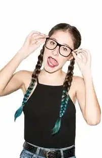 PHP粉色系列美女图片网站源码完整开发指南，从零到一构建高人气视觉社区，粉色官图