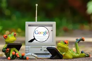 数字时代网站加载速度优化指南，从用户体验到技术架构的全面解析，网站打开速度检测