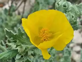远程桌面服务60分钟关闭警告，潜在风险与应对指南，远程桌面服务将在60分钟后关闭什么意思啊