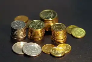 网站建设与维护全解析，成本构成与性价比指南，网站一年多少钱收入
