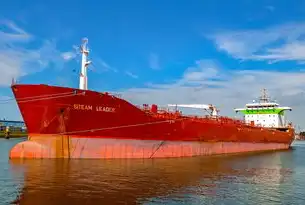 全球十大海港中国占六席，吞吐量霸权背后的经济密码与战略布局，2020全球十大港口吞吐量