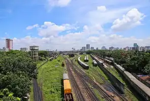 全球十大海港中国占六席，吞吐量霸权背后的经济密码与战略布局，2020全球十大港口吞吐量