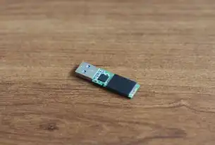 动态网站整站源码下载器终极指南，从技术解析到行业应用的全流程解决方案