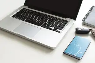 智能驱动下的版本控制体系，软件企业敏捷迭代与质量保障的实践路径，软件公司版本控制程序是什么