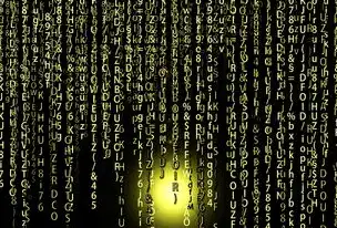 解码网站源代码，从HTML到SEO的底层逻辑与实战指南，成品网站源代码