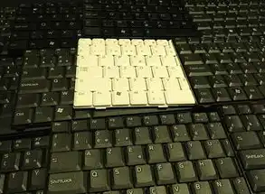 数字时代的文件守护密码，从Ctrl+S到Cmd+S的保存键全解析，键盘按哪个键保存文件夹