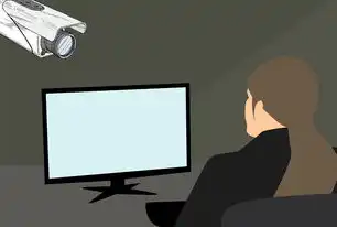 智能安防系统的核心组件，监控告警录像的技术解析与应用实践，监控器告警是什么意思