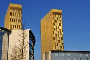 卢森堡服务器，欧洲数字枢纽的底层密码与商业价值探析，在卢森堡工作