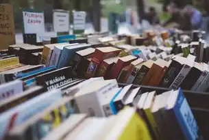 网站外网访问失败？系统化排查指南，从基础设置到高级运维的完整解决方案，服务器外面打不开网站