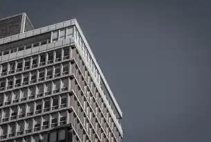 新时代背景下基础设施与公共服务建设的协同发展路径探析，基础设施及公共服务建设情况怎么写简历