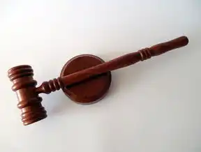 全自动伞伸缩杆深度维修指南，从故障诊断到结构重建的完整解决方案，全自动伞伸缩杆维修教程图解