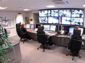 智能监控环境全生命周期数据保护体系构建指南，监控室重要数据备份和恢复策略的区别