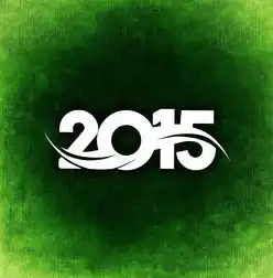 数字时代的视觉盛宴，精美网站设计的艺术与功能平衡，精美网站设计