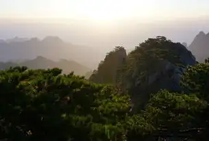 黄山旅游官方网站全攻略，解锁世界遗产的山水秘境与人文瑰宝，谁有黄山网站