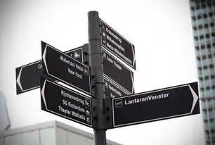 香港云服务器IP独享方案，解锁全球流量，助力企业高效出海，ip独享香港云服务器是什么
