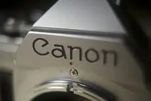 毫秒级反应时间的科学解析，从神经机制到行业应用的全维度解读，反应时间什么意思